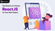 Expert React JS App Development